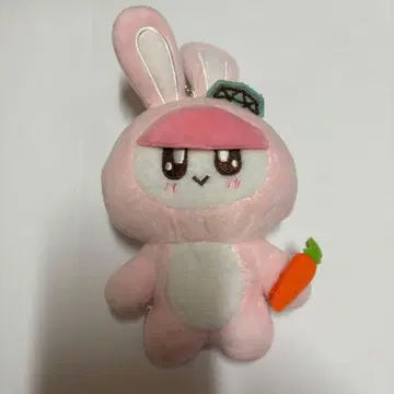 봉봉이 마스코트