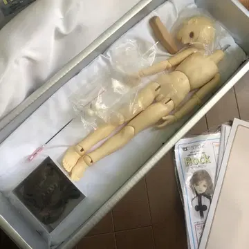 보크스 MSD 남아 락 인형 슈퍼돌피