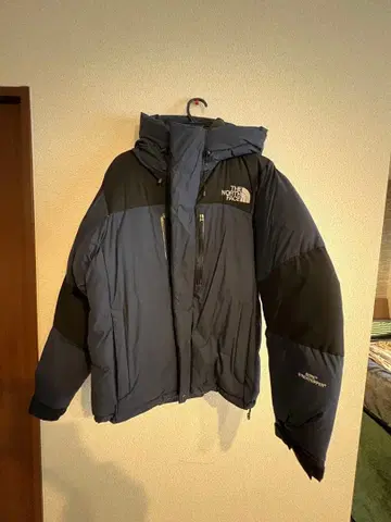The North Face 네이비 다운 자켓
