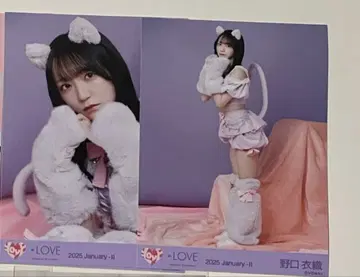 이코럽 노구치 이오리 브로마이드 고양이 의상
