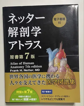 네터 해부학 아틀라스 원서 제7판