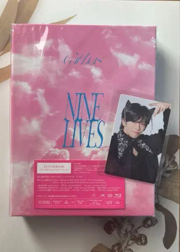 초특급 NINELIVES 완전 생산 한정판 료가 트레이딩 카드 포함