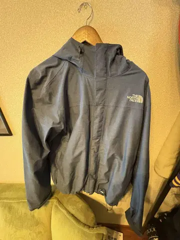 [레어 데님 블루] THE NORTH FACE 마운틴 후드티 블루
