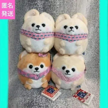 콩시바 삼형제 코로링 기믹