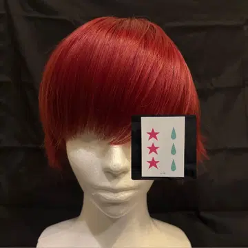 당일 발송 히소카 코스프레 2세트 가발 씰 빨간 머리 내림