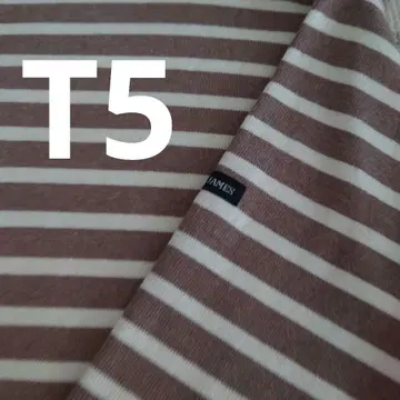 새상품급 웨쌍 베이지 x 아이보리 T5 세인트 제임스