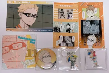 하이큐 팬파크 코스터 캔뱃지 엄브렐라 참 츠키시마 케이