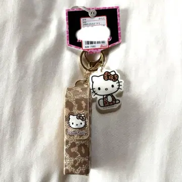 아베일 키티 립 케이스