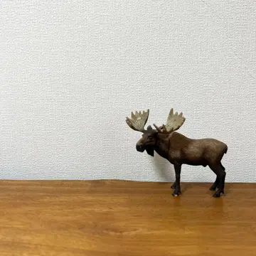 슐라이히 무스 엘크