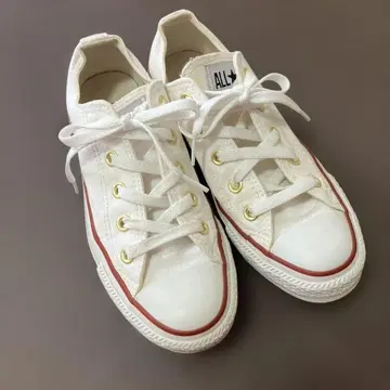 컨버스 올스타 화이트 23