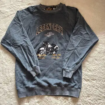 할리데이비슨 Harley-Davidson 맨투맨