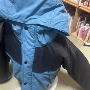 다운 자켓, 워크맨