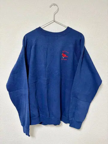 90s Hanes Activewear 맨투맨 BRHS ALUMNI