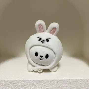 stray kids celebrate popup 리비트 키링