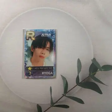 초특급 슈스에비 리얼 카드 료가