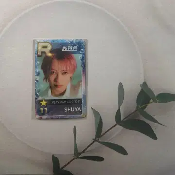 초특급 슈스에비 리얼 카드 슈야