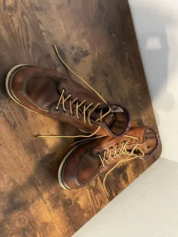 레드윙 브라운 가죽 워크 부츠 875 US8 깃털 택 26cm