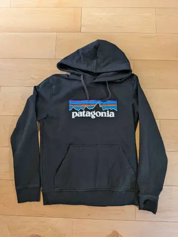 파타고니아 후드티