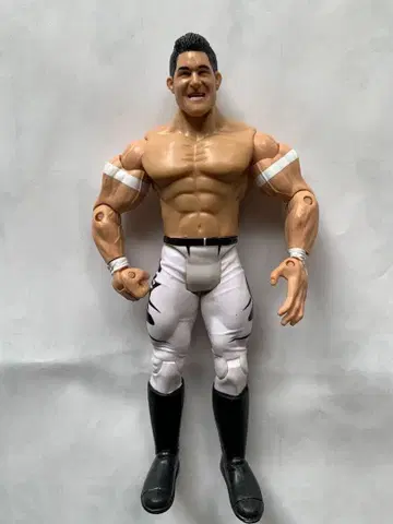 WWE 에반 본 ECW 시리즈 5 잭스