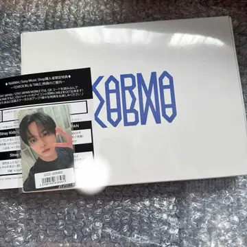straykids KARMA 앨범 마일 시리얼 포함