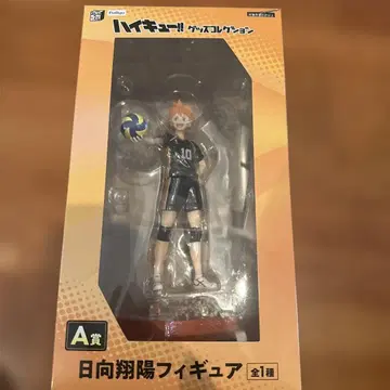 하이큐!! 히나타 쇼요 피규어