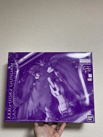 MG 1/100 건담 산드로크 개 EW