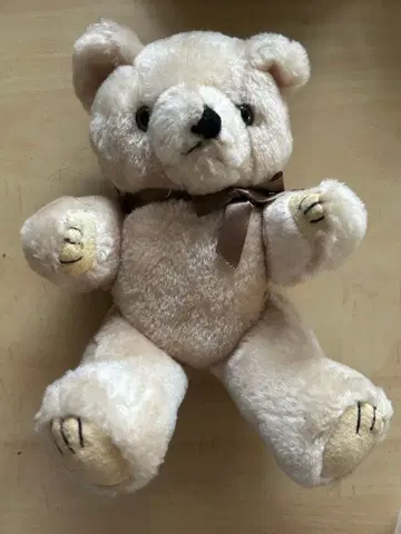 곰 봉제 인형