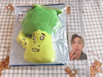 야기코리 패스 케이스 세트