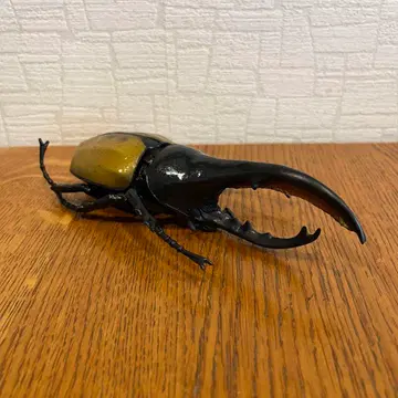 헤라클레스 장수풍뎅이 리얼 장수풍뎅이 피규어 약 17cm