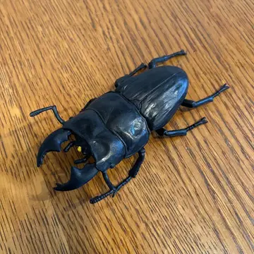 장수풍뎅이 피규어 블랙 체장 약 9.5cm