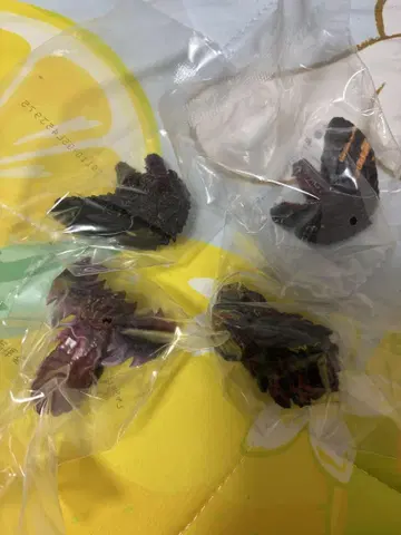 제일복권 고질라 괴수 난무 E상 몬스터 헤드 마그넷 총 4종