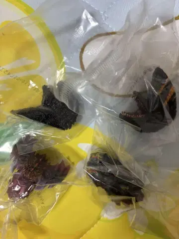 제일복권 고질라 괴수난무 E상 몬스터 헤드 마그넷 전 4종