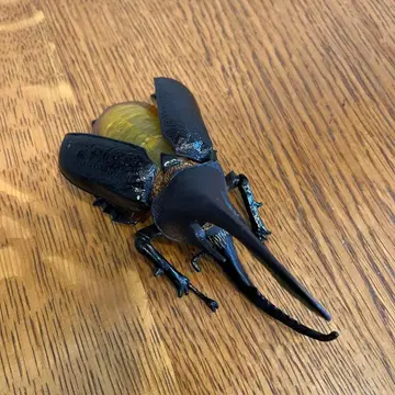 헤라클레스 장수풍뎅이 피규어 약 12cm 깃털이 움직입니다