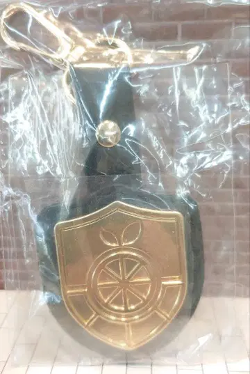 포켓몬 닌텐도 키링 메탈 플레이트 엠블럼