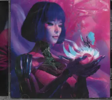 데스코어 메탈코어 Within destruction 2장 세트