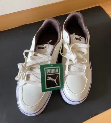 푸마 PUMA V 코트 벌크 23.5cm