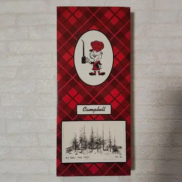 Campbell Scale Models 소나무 세트 올 스케일