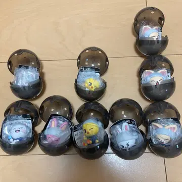 skzoo 사우나 피규어 묶음 판매