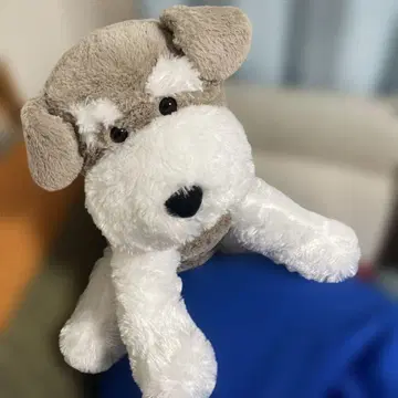 빅! 슈나우저 봉제 인형