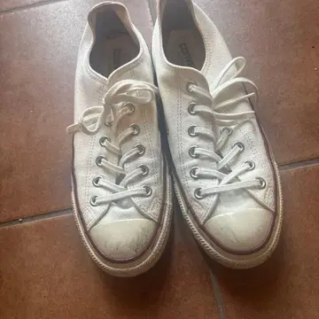 Converse 화이트 스
