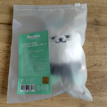 TXT 뿔바투 키링 연준 수빈