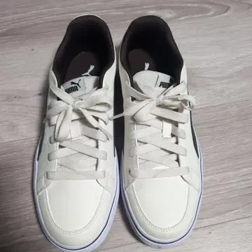 Puma 스니커즈 388900-024 25cm