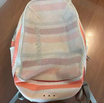 파타고니아 플래닝 디바이더 팩