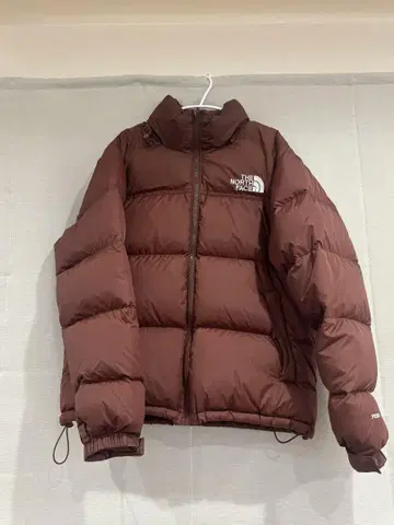 THE NORTH FACE 브라운 눕시
