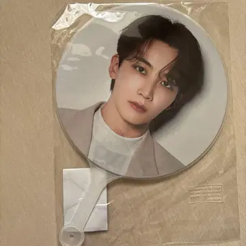 SEVENTEEN incomplete 정한 부채