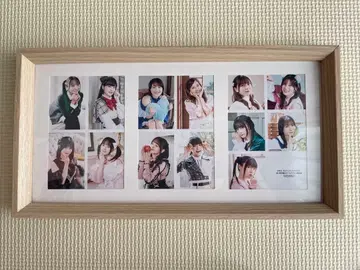 니지가사키 브로마이드