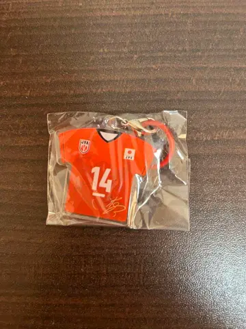 일본 대표 남자 배구 마스코트 액세서리 이시카와 유키