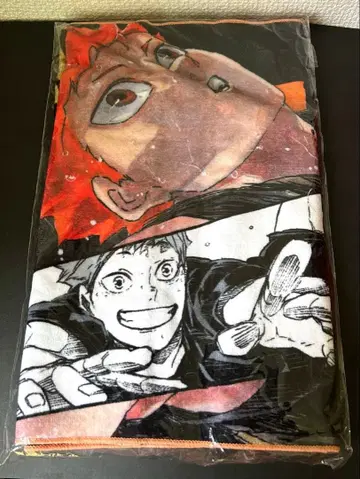 하이큐!! 히나타 쇼요 풀컬러 페이스 타월