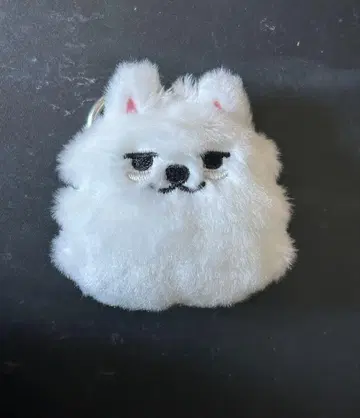 TXT 뿔바투 용문 페이스 키링
