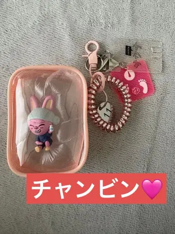 straykids skzoo 스키즈 사우나 돼끼 [ 네임 파우치 ]